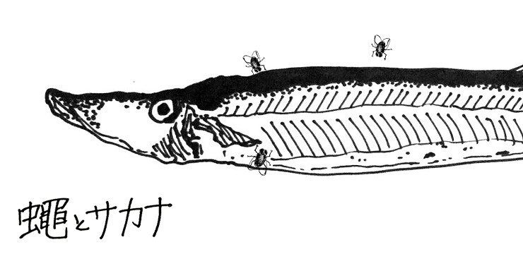 菅 一馬