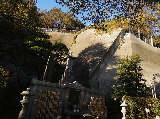 藤原 ちから