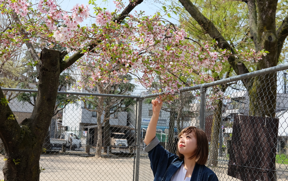 広田 すみれ