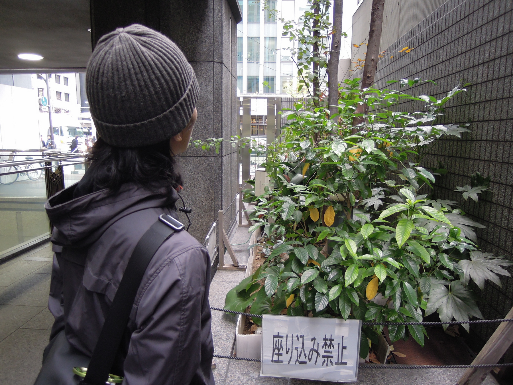 今村 達紀