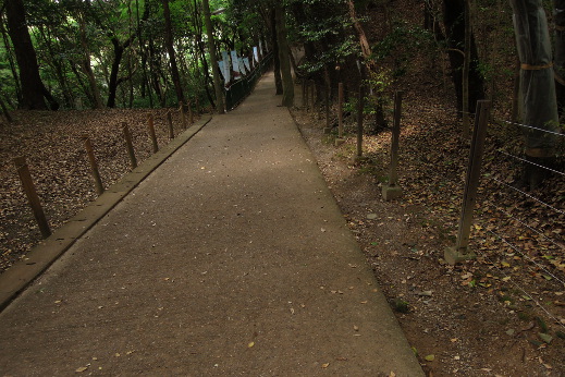 近藤 和見