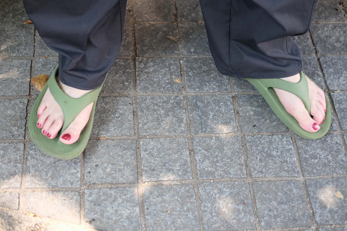 きょん子。