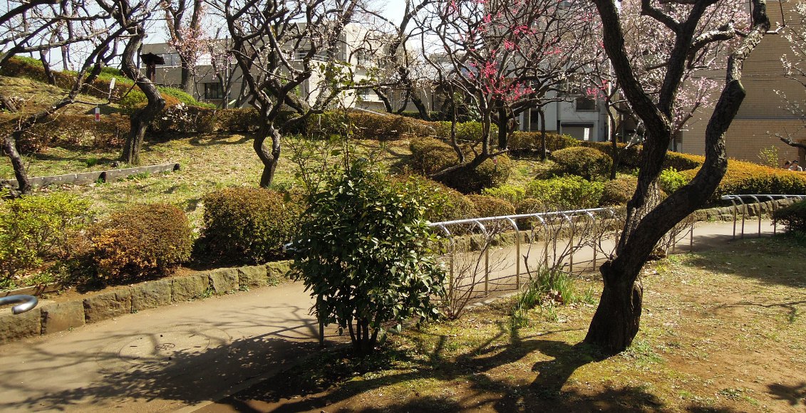 奥村 泰彦