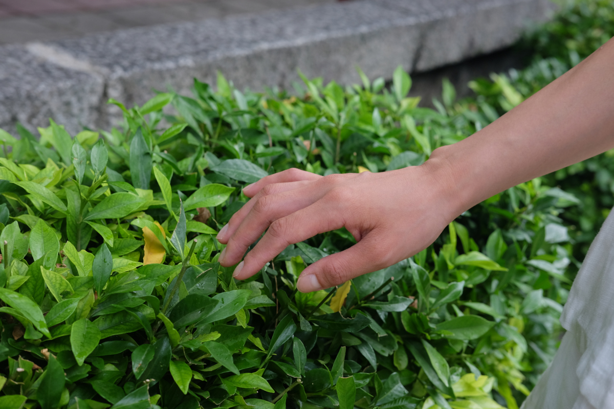 渡辺 綾子